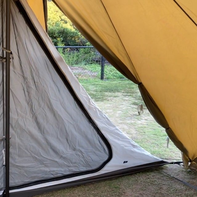 ゼインアーツロロ専用のフットプリントは買うべき？ | MAELOG