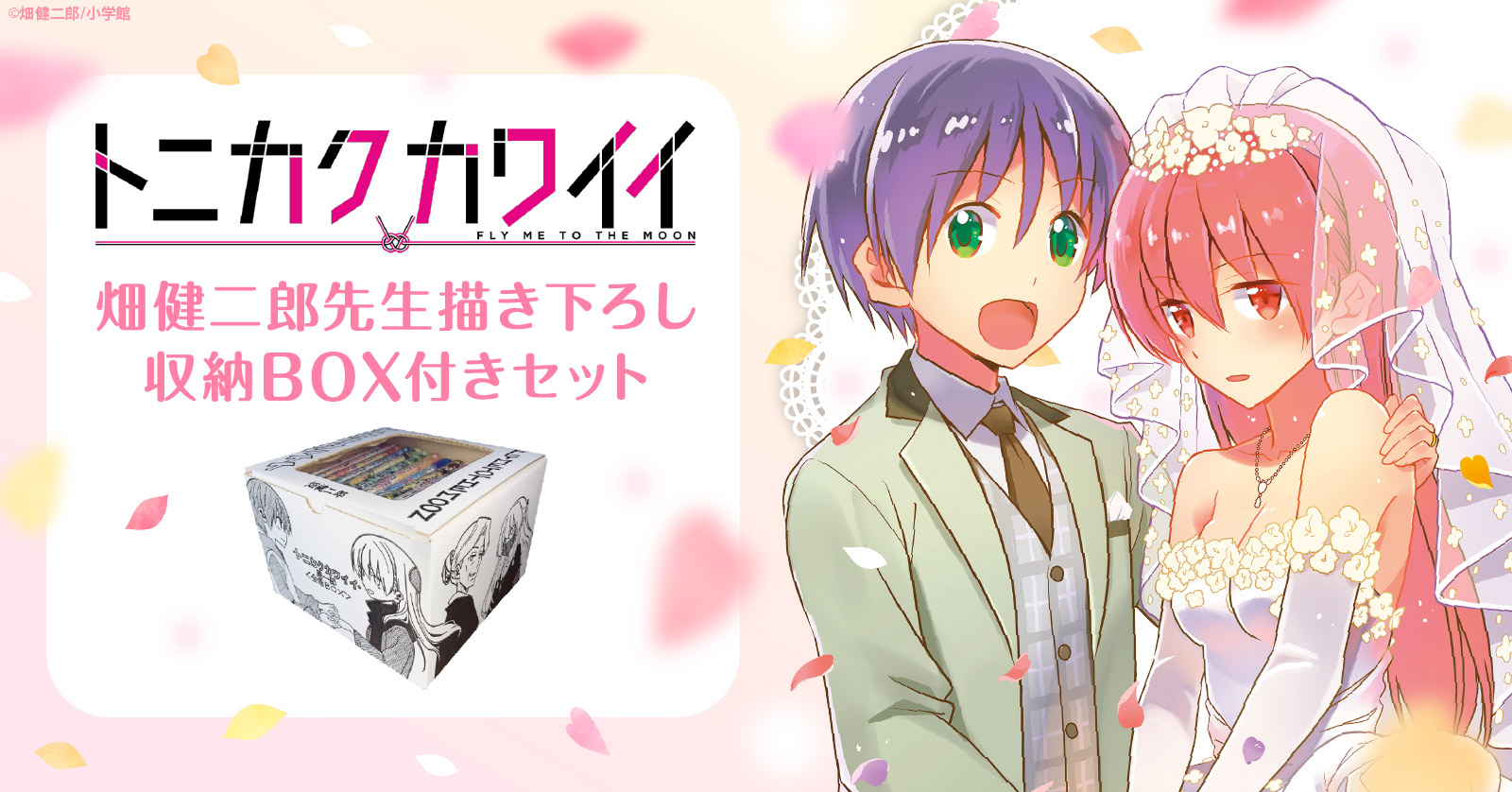 トニカクカワイイ 34 冊セット 最新刊まで | 漫画全巻ドットコム