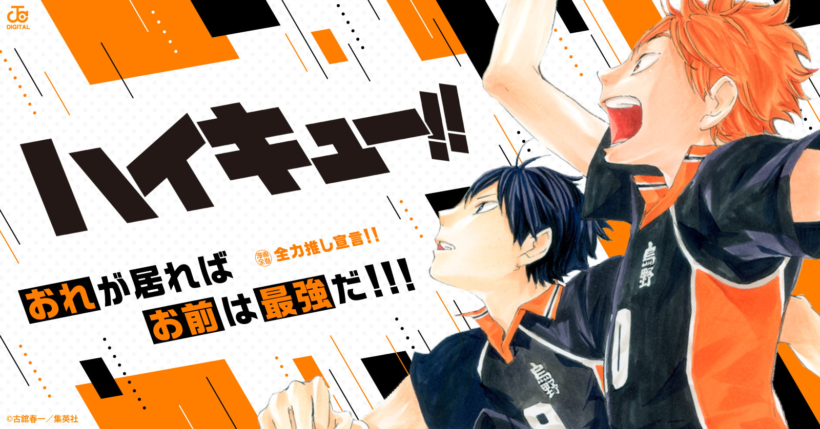 れっつ！ハイキュー！？ 11 冊セット 全巻 | 漫画全巻ドットコム