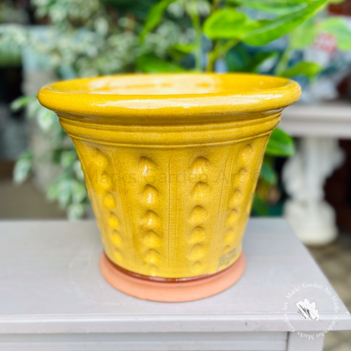 狂鉢 MAD ゴールド 狂鉢 MAD plants 【公式通販】 狂鉢 MAD ビンテージ