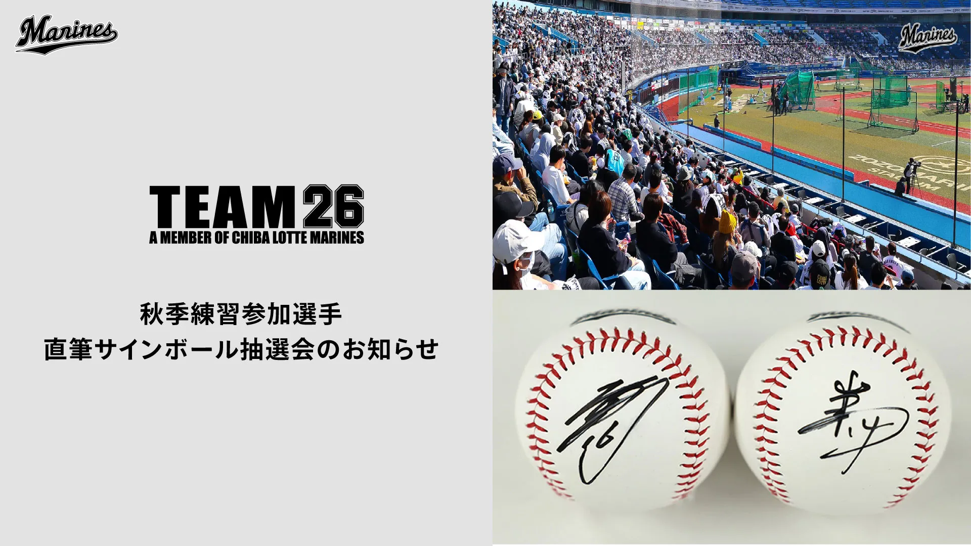 秋季練習参加選手 直筆サインボール抽選会のお知らせ - 千葉ロッテ