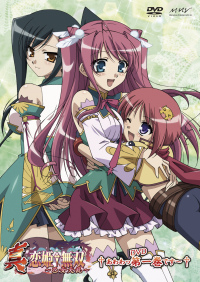 真・恋姫†無双～乙女大乱～†あわわっDVD第一巻です～†【ﾚﾝﾀﾙ