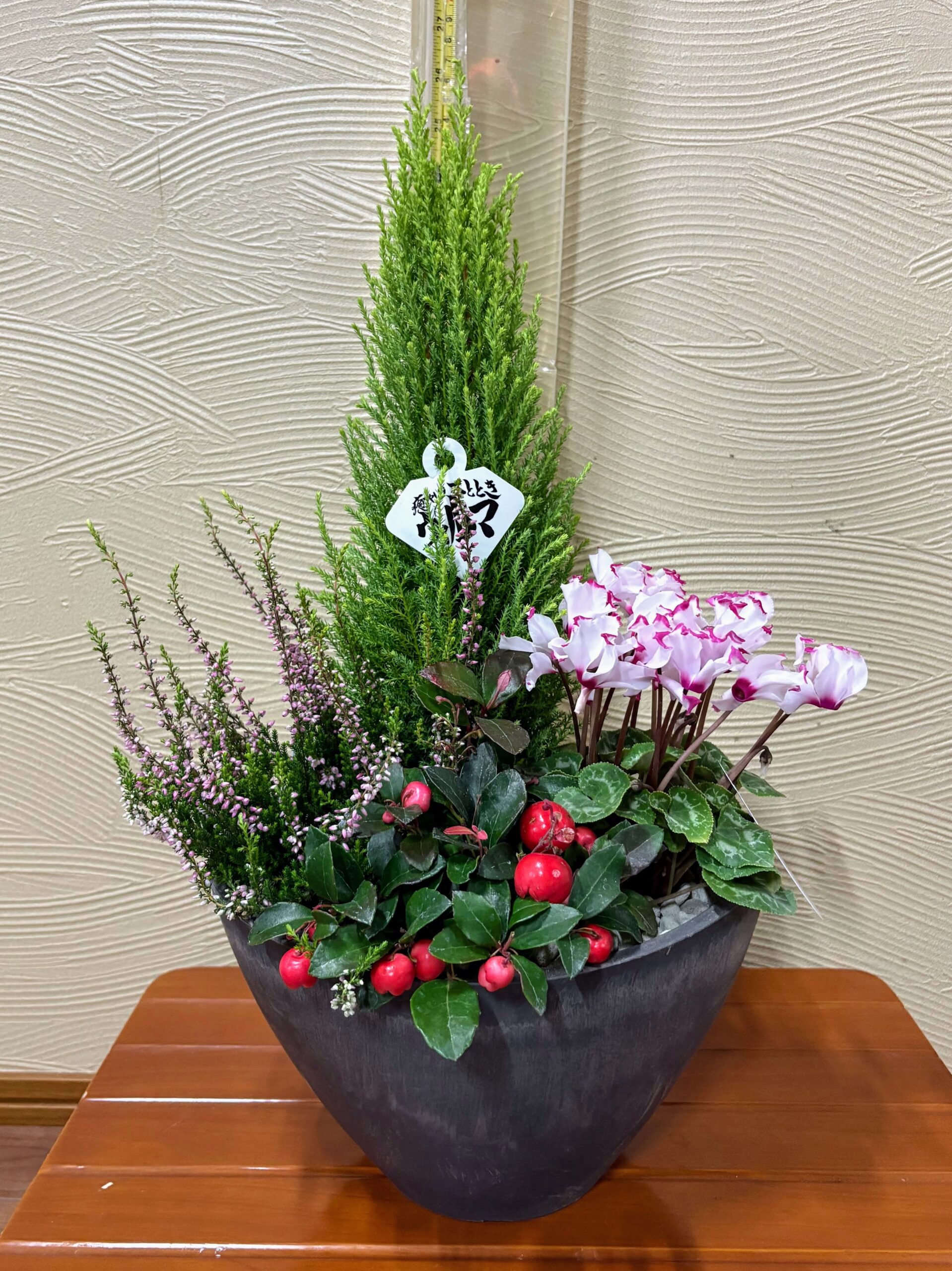 クリスマス～お正月に楽しめる玄関向き寄せ植え | お花と緑のお店