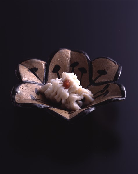 乾山写 尾形乾山 百合型向付 懐石 日本料理12客 Tsukasa Yamaguchi