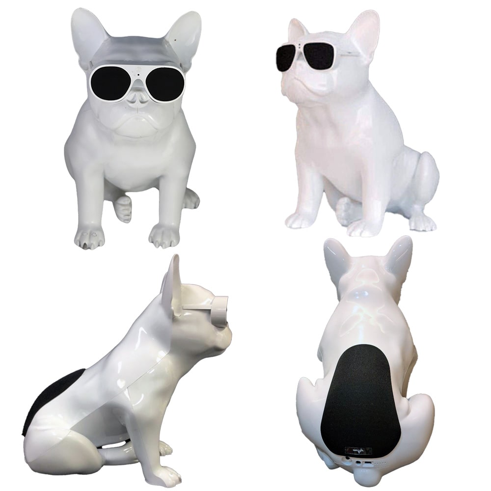 Aerobull ワイヤレス スピーカー XS1 (ホワイト) 【国内正規品