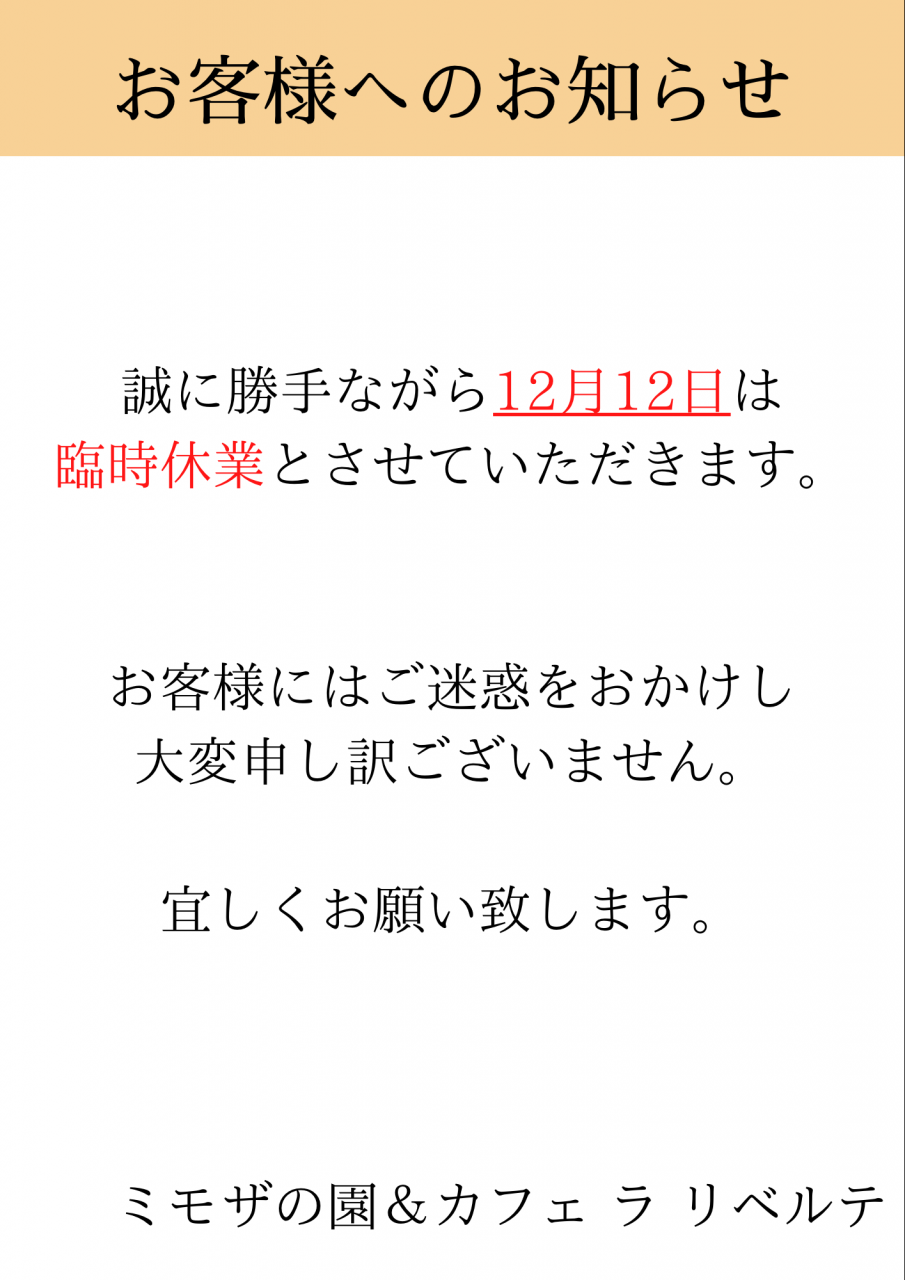 ブログ｜ミモザの園