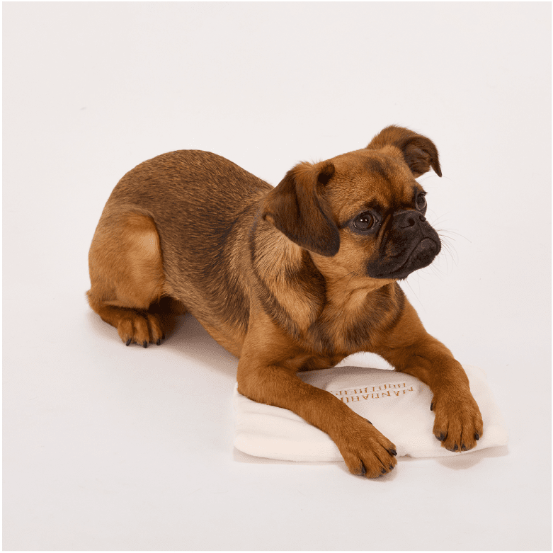 マンダリンブラザーズ ホットパック 【初回送料無料】｜みんなのペット