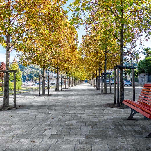 トレイル18 グリジオ 202(TL87731)｜タイルの通販｜ミラタップ（旧