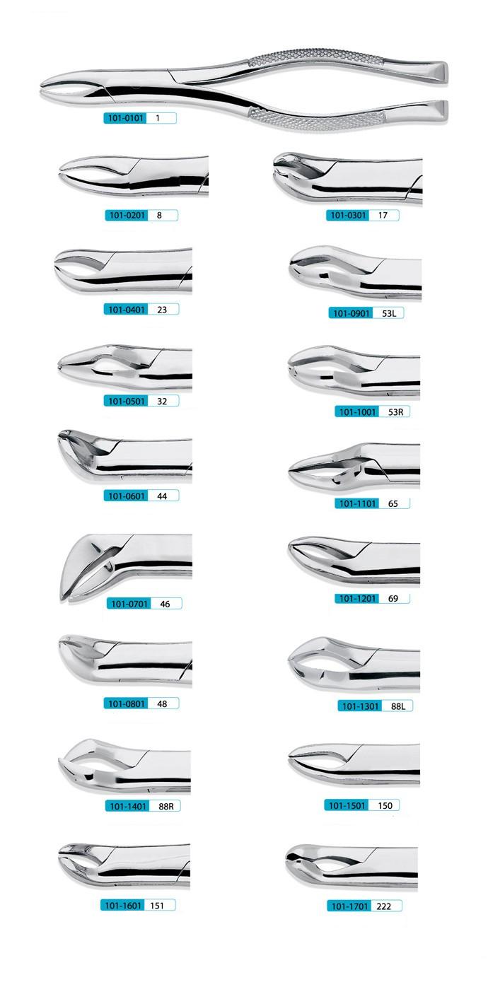 抜歯鉗子（永久歯用）-抜歯鉗子-article-歯科用インスツルメント