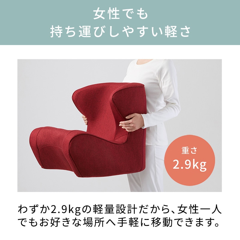 ソファー 骨盤 テレワーク】スタイル ドクターチェア | Style Dr.CHAIR