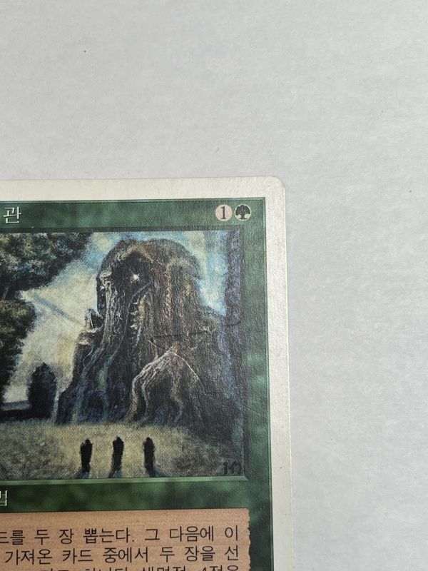 森の知恵/Sylvan Library》[5ED] MP 韓国語 - MTG専門店 Initiative