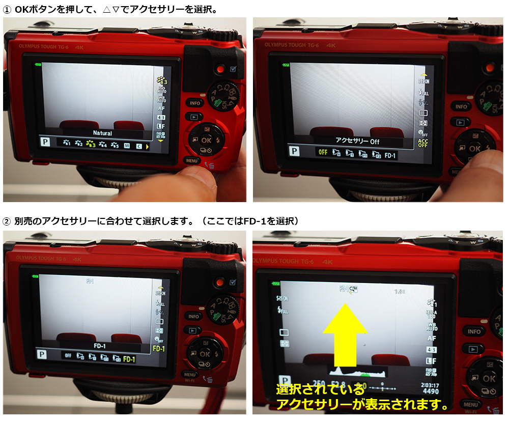 夏の自由研究テーマはこれで決まり！タフカメラ OLYMPUS Tough TG-6で