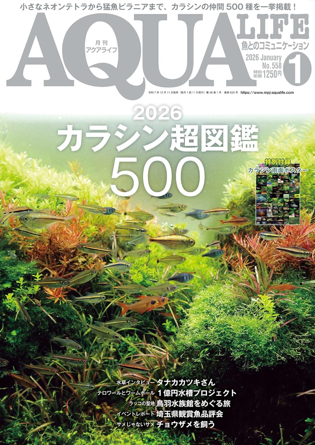 アクアライフ2023年12月号11月10日発売！ ｜ エムピージェー