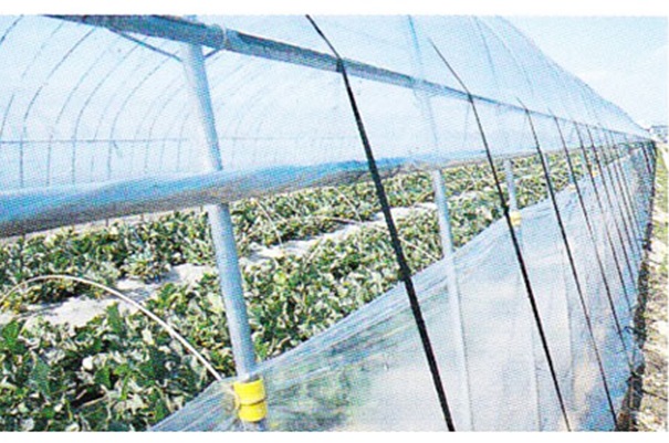 農ビエースみらい 厚さ0.1mm(幅200cmX長さ100m(#)): 農業資材