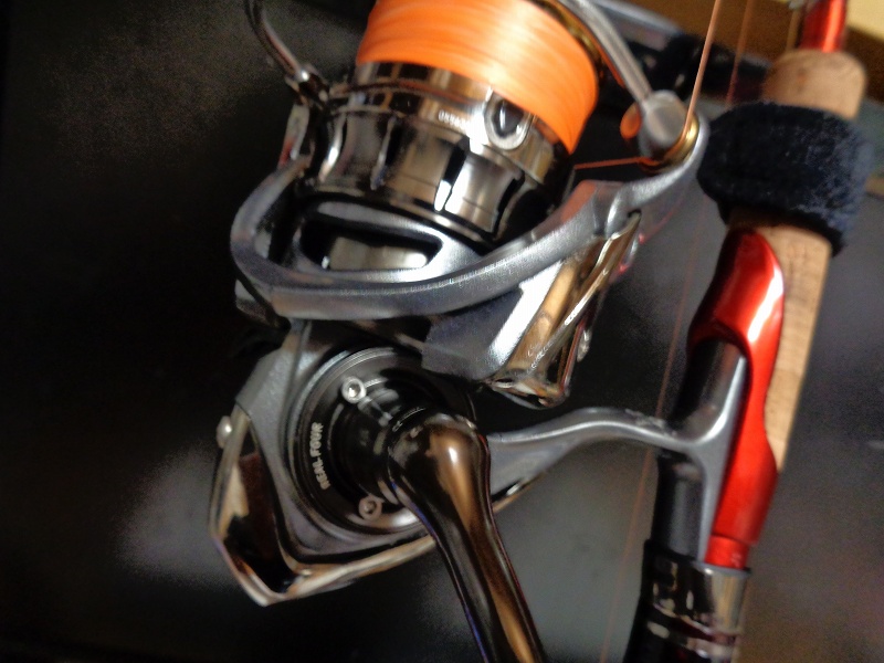 ダイワ 15ルビアス 2506 届きました＆驚いた | イカ釣り ヒムカ 完結編