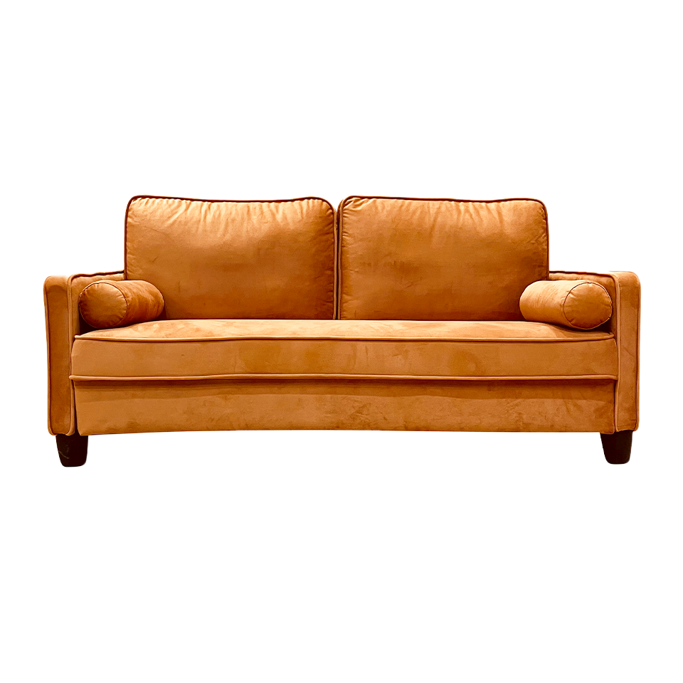 ソファFK9746 2人掛け【送料無料】キャメル | NOCEノーチェ 家具