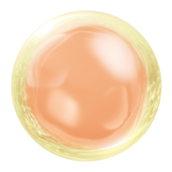 リポソーム ウルトラエース | 株式会社ノエビア