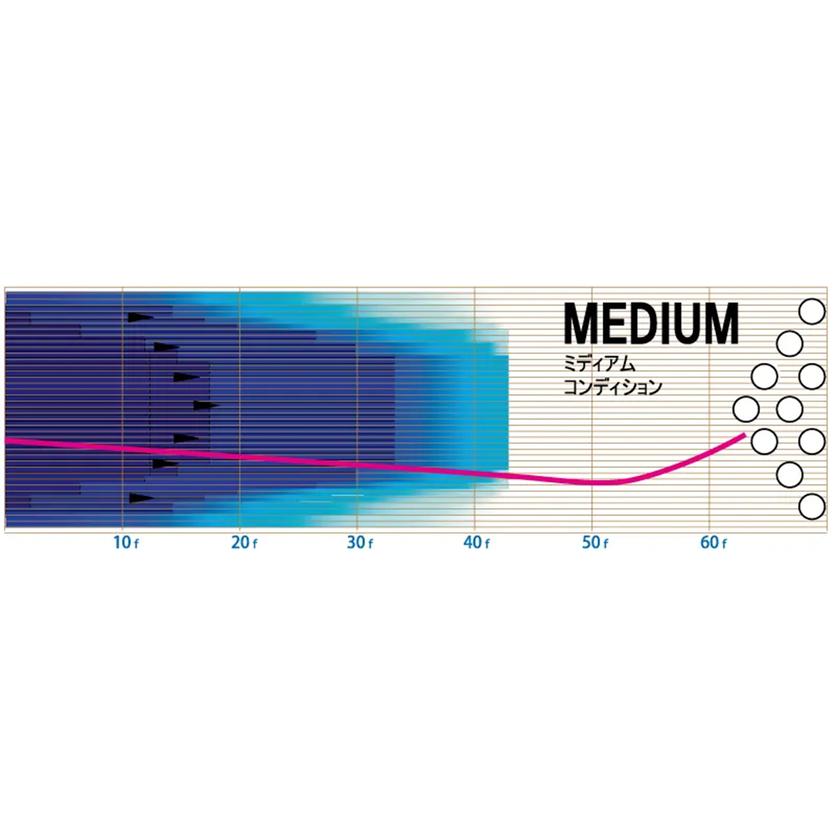 ストーム)イクイノックス・ソリッド [HS] - 34,980円 : ボウリング用品