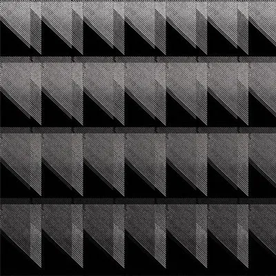 Eliane Radigue - Adnos I-III | NEWTONE RECORDS