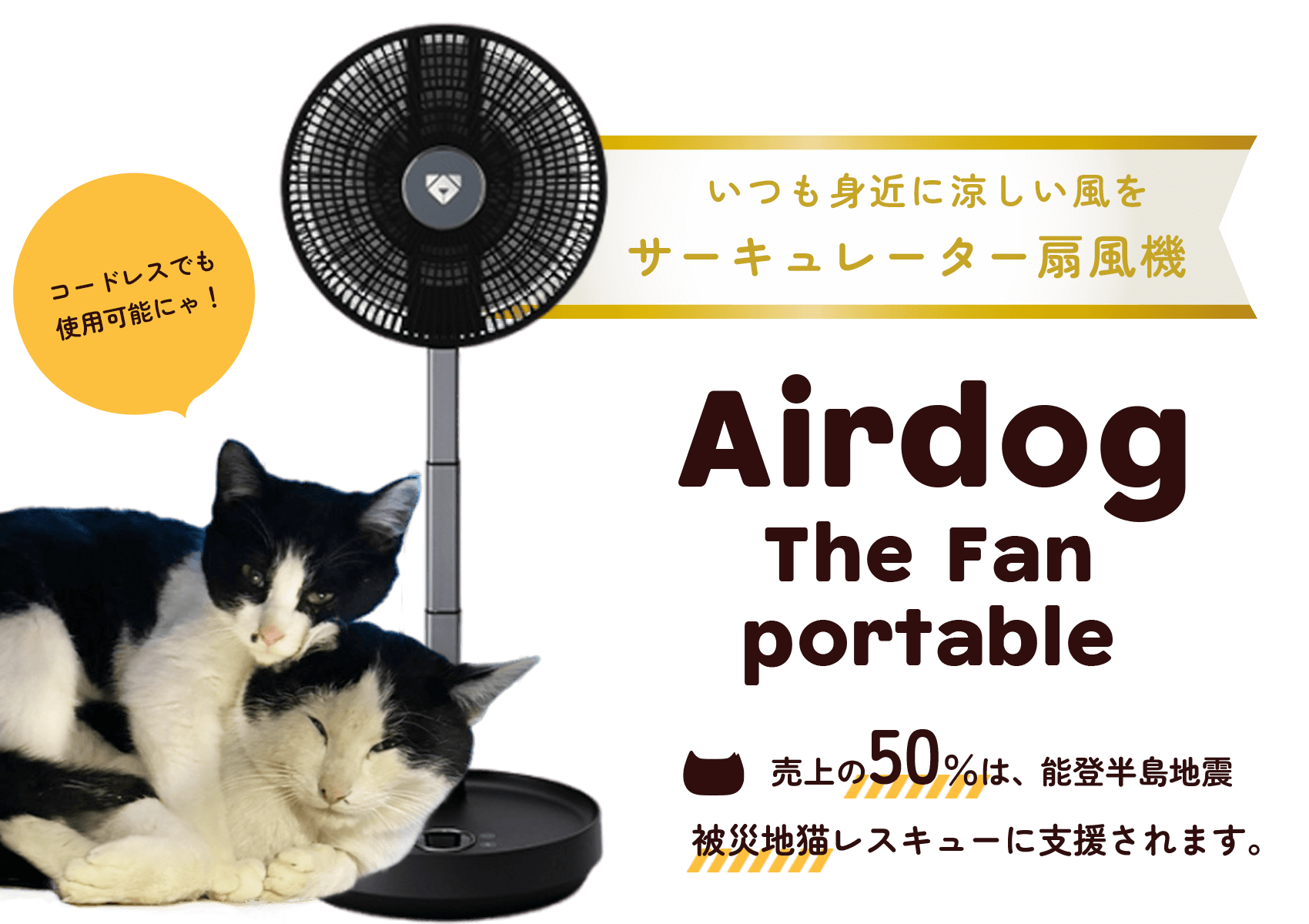 売上の50％が能登半島地震 被災地猫レスキューに支援される！「Airdog