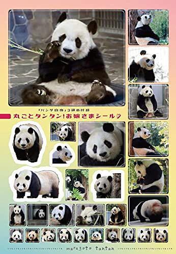 パンダ自身 3頭め (光文社女性ブックス) 光文社 本/雑誌 - Neowing