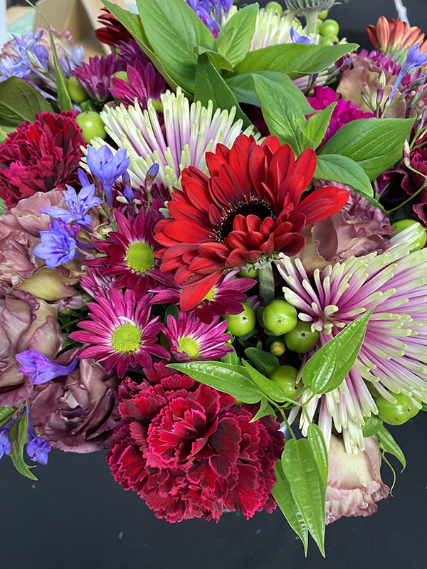 知られざるキクの魅力／後編 | Flower MJ