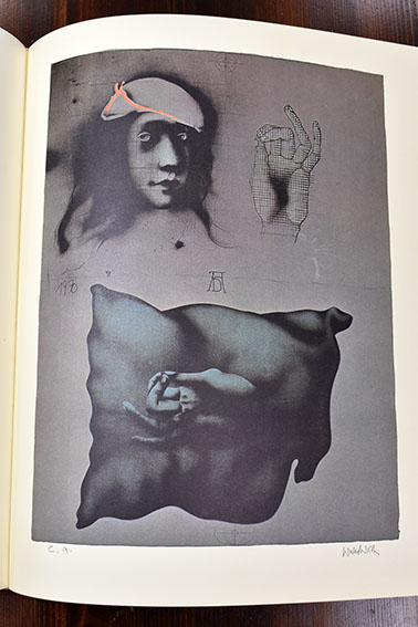 ポール・ヴンダーリッヒ版画作品集 / ポール・ヴンダーリッヒ