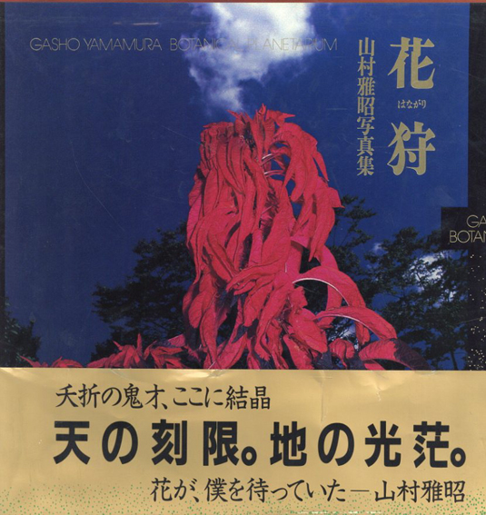 山村雅昭写真集 花狩 / 山村雅昭 | Natsume Books