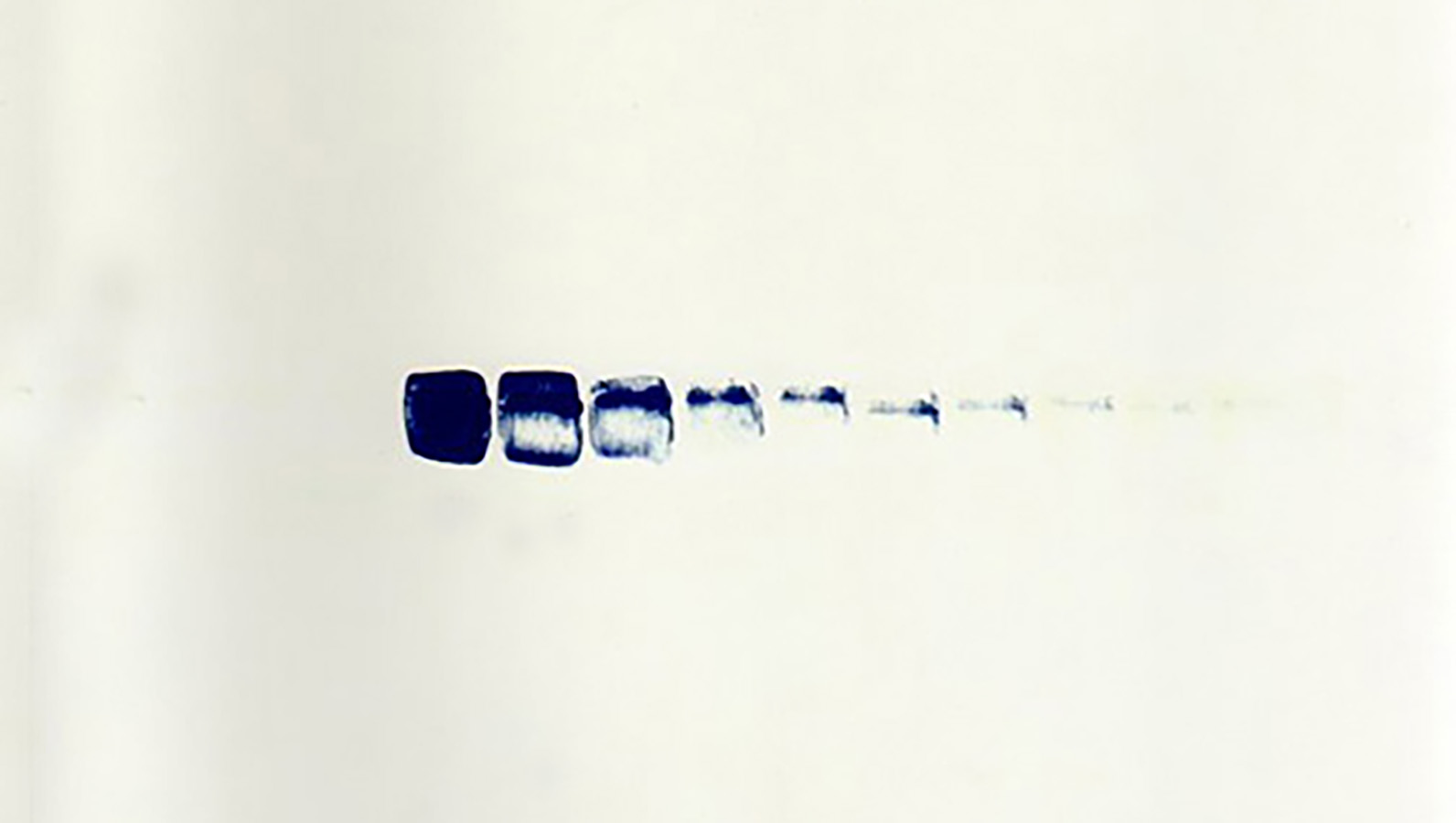 泉鏡花 [Kyoka Izumi] | Natsume-Books