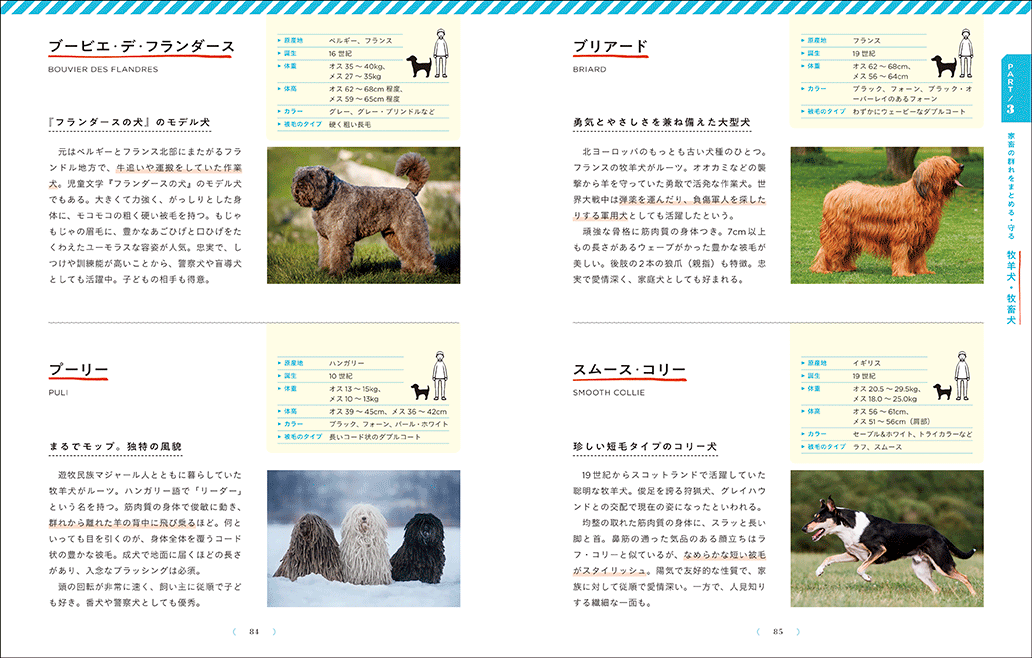 ルーツと特性を知ればもっと好きになる 日本と世界の犬種図鑑 | ナツメ社
