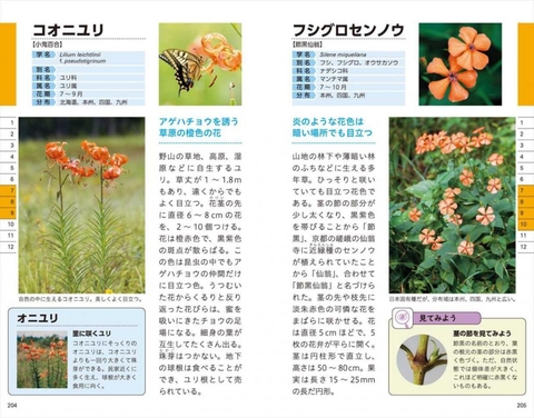 色で見わけ五感で楽しむ野草図鑑 | ナツメ社