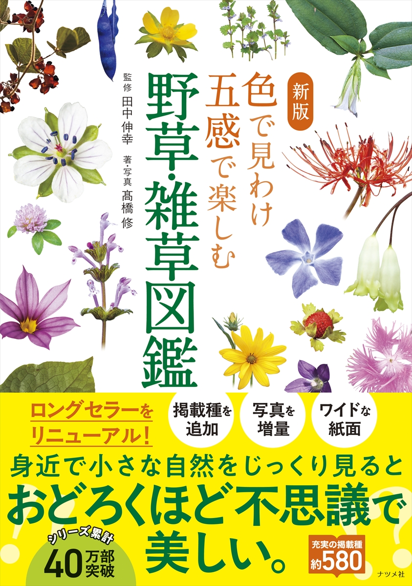 新版 色で見わけ五感で楽しむ野草・雑草図鑑 | ナツメ社
