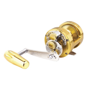 362_1.jpg?20070711113808