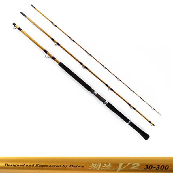 ダイワ(Daiwa) 潮流V2 30-300 05288782｜アウトドア用品・釣り具通販は