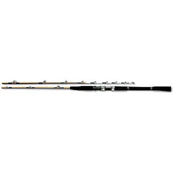 ダイワ(Daiwa) リーディングX サソイ 30-180 05284543｜アウトドア用品