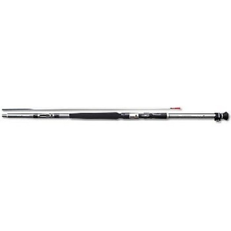 ダイワ(Daiwa) HZスーパーインターライン 剣崎T 30号-270 05282935