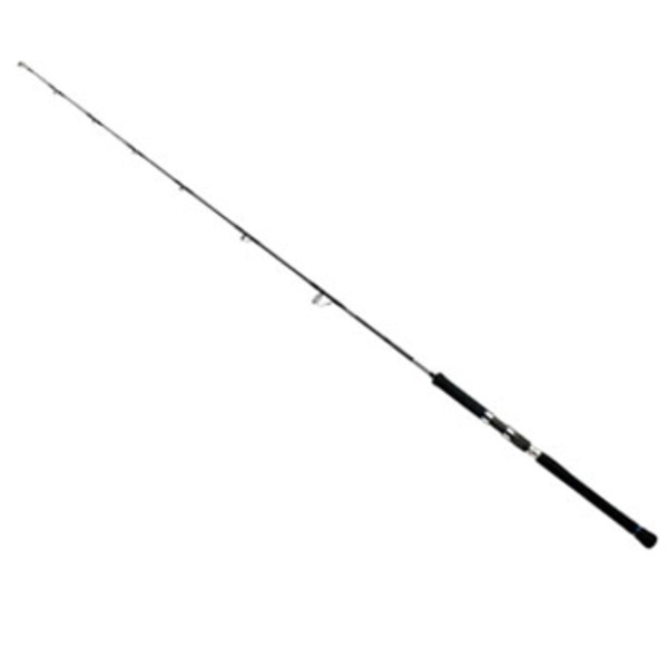 ダイワ(Daiwa) CATALINA(キャタリナ) JH60S・N 01473915｜アウトドア