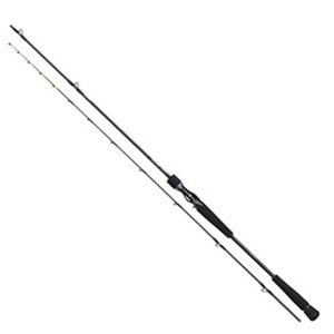 ダイワ(Daiwa) ソルティガ BJ AGS 65HB-SMT 01473231｜アウトドア用品