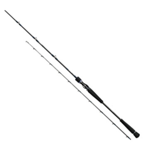 ダイワ(Daiwa) ソルティガ BJ AGS 66XHB 01473234｜アウトドア用品