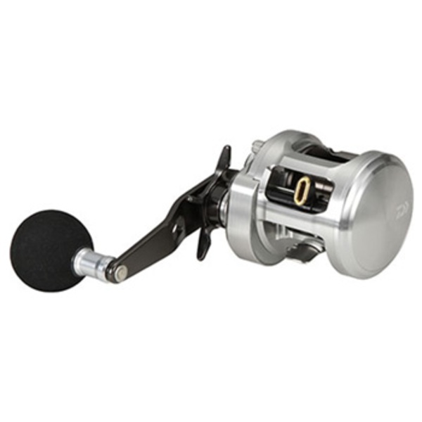 ダイワ(Daiwa) 15キャタリナ BJ200SH 右巻き 00613705｜アウトドア用品