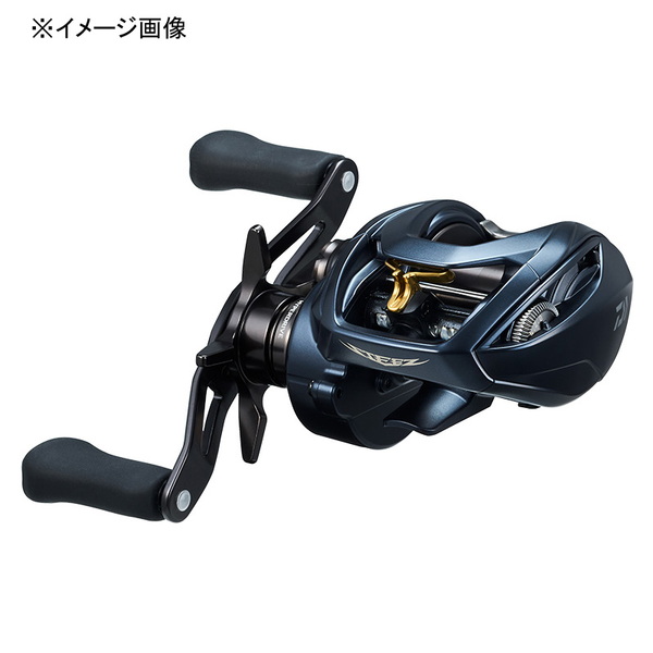 ダイワ(Daiwa) STEEZ AII TW 1000(スティーズA2TW) 右ハンドル