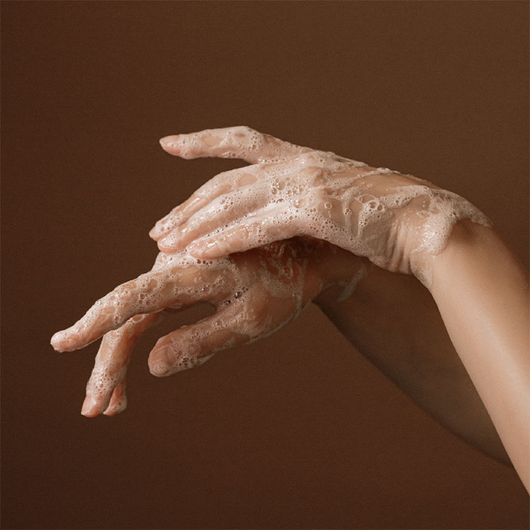 ARTiS di Voce ハンドウォッシュ 220ml 3304 MUSK LAND | Nail Labo