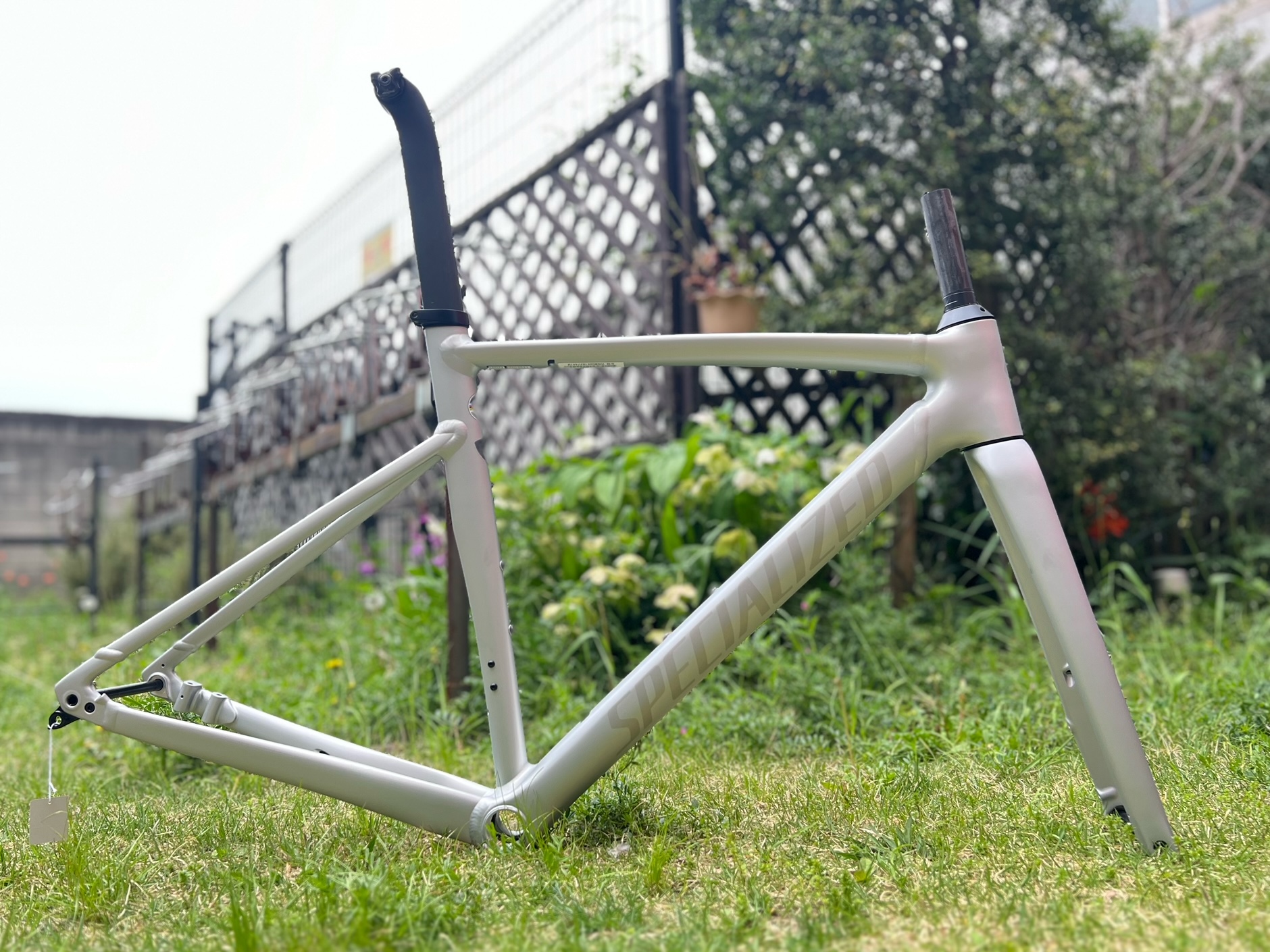 入荷情報】SPECIALIZED ALLEZ SPRINT DISC フレームセット | なるしま