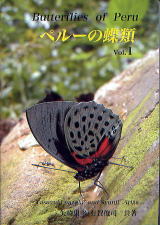 ペルーの蝶類 矢崎康幸・有賀俊司