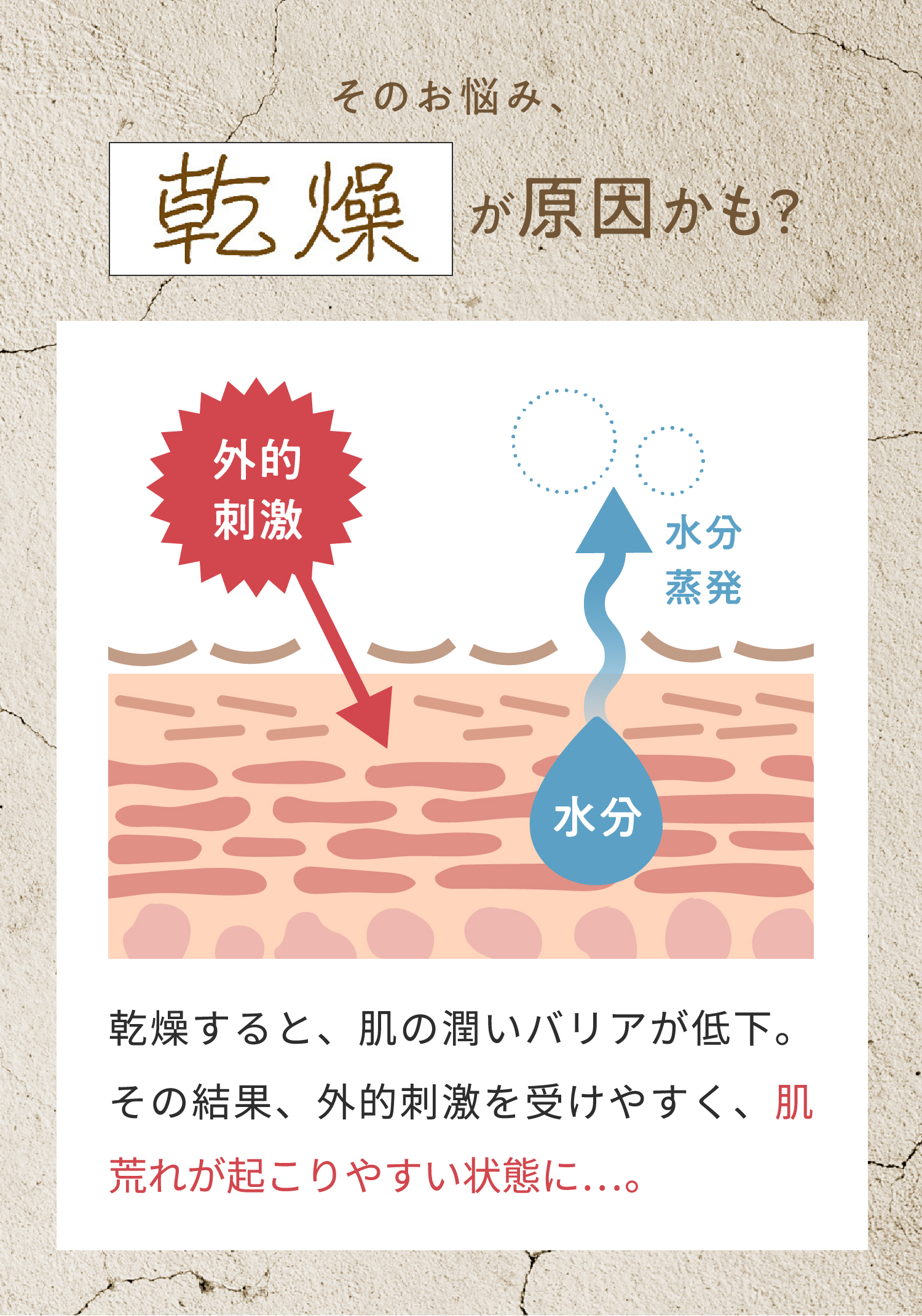 Wオイルイン クリーム: シリーズから探す / ナリスオンラインストア