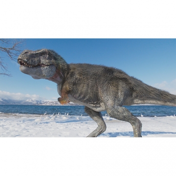 NHKスペシャル 恐竜超世界 in Japan DVD｜ドキュメンタリー｜DVD