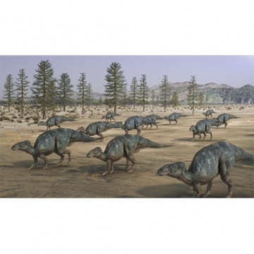 NHKスペシャル 恐竜超世界 in Japan DVD｜ドキュメンタリー｜DVD