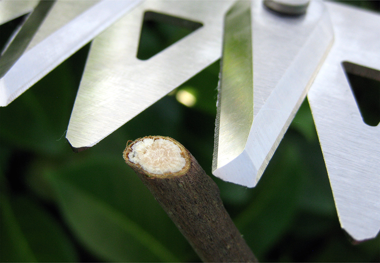 訳あり 杉丸太ニス塗り加工 4枚セット 訳あり 杉丸太ニス塗り加工 4枚