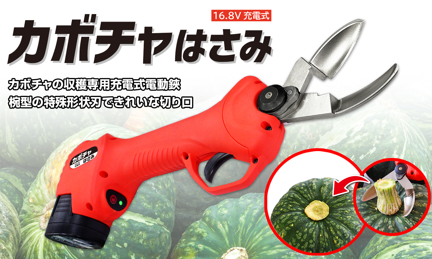 ニシガキ工業株式会社 / 【新製品】カボチャはさみ発売のお知らせ