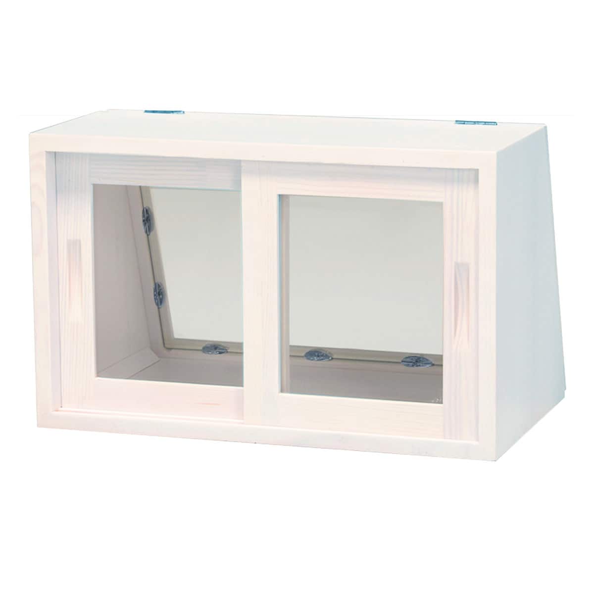 560987203.jpg?ts=20250416143639761